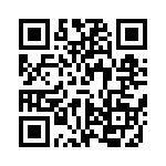 VI-B1P-IX-B1 QRCode