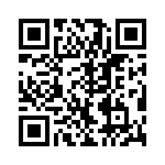 VI-B1T-IX-B1 QRCode