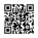 VI-B1V-EV-B1 QRCode