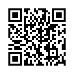 VI-B1Y-IV-F1 QRCode