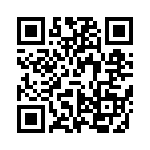 VI-B3K-IX-B1 QRCode