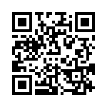 VI-B3N-EY-B1 QRCode