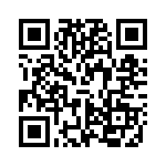 VI-B4P-CV QRCode