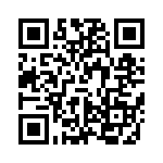 VI-J10-IX-B1 QRCode