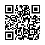 VI-J3Z-IX-B1 QRCode