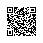 VJ0402D0R3DXCAC QRCode