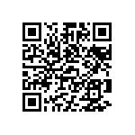 VJ0402D0R4BXXAJ QRCode