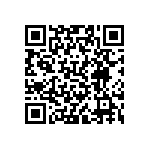 VJ0402D0R9CLBAJ QRCode