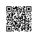 VJ0402D3R3DLAAC QRCode