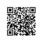 VJ1206A300JBBAT4X QRCode