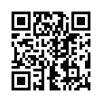 VK133250000G QRCode