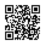 W3A45C333MAT2F QRCode