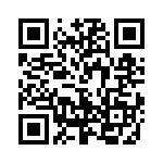 W79E4051AKG QRCode