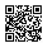 WW12FT1R33 QRCode