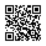 XB2B-WFWT-001 QRCode