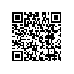 XCV300E-6FG456C QRCode