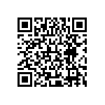 XMLBWT-00-0000-000PT30E1 QRCode