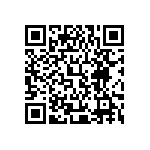 XMLBWT-02-0000-0000T60E2 QRCode