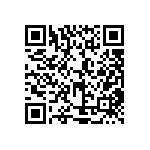 XMLBWT-02-0000-000PT2053 QRCode