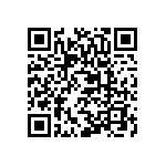 XQDAWT-02-0000-00000BG53 QRCode