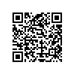 Y011125K9500T9L QRCode