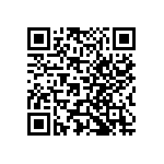 Y093910K0000T0R QRCode