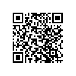 Y116912K5000T9L QRCode