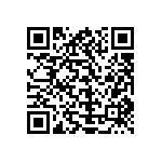 Y11691K20000B139R QRCode