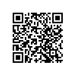 Y116950K0000B9R QRCode