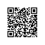 Y11696K25000T0L QRCode