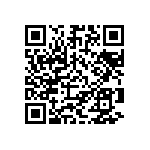 Y145413K7000T0L QRCode