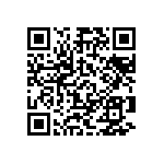 Y16241K10000T0W QRCode