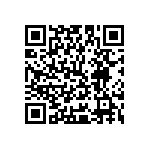 Y16241K80000B9W QRCode