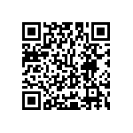 Y16243K01000T9W QRCode