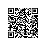 Y16244K64000B9R QRCode