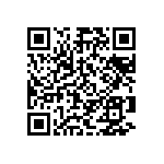 Y16244K99000T9W QRCode