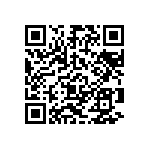 Y16251K10000Q0R QRCode