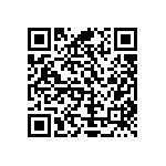 Y16251K24000T0W QRCode