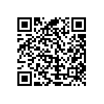 Y16251K80000B9W QRCode