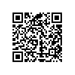 Y16253K88800T0W QRCode