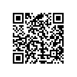 Y16256K00000T9R QRCode