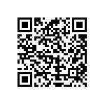 Y16276K30000T0W QRCode