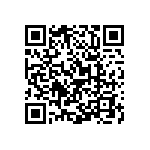 Y16276K80000T0W QRCode