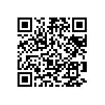 Y162875K0000T0R QRCode