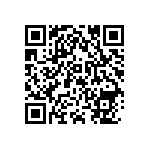 Y162895K0000B9W QRCode