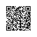 Y16291K20000T9R QRCode