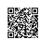 Y16294K64000B9W QRCode