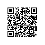 Y163013K3200T9R QRCode