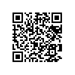 Y16301K10000T9R QRCode