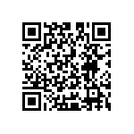 Y163051R0000B9W QRCode